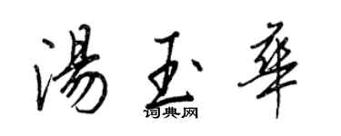 王正良湯玉華行書個性簽名怎么寫