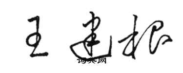 駱恆光王建根草書個性簽名怎么寫