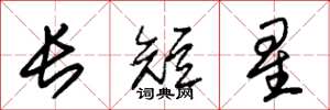 朱錫榮長短星草書怎么寫