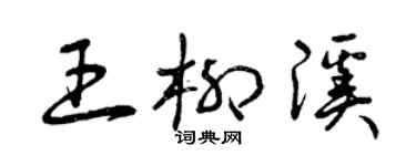 曾慶福王柳溪草書個性簽名怎么寫