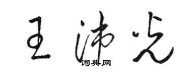 駱恆光王沛光草書個性簽名怎么寫