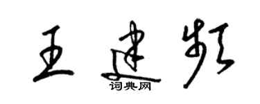 梁錦英王建頻草書個性簽名怎么寫