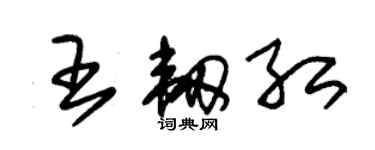 朱錫榮王韌紅草書個性簽名怎么寫