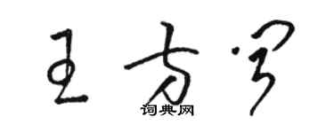 駱恆光王方聞草書個性簽名怎么寫