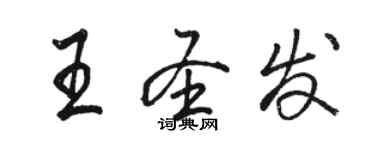 駱恆光王聖發行書個性簽名怎么寫