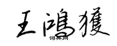 王正良王鴻獲行書個性簽名怎么寫