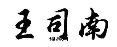 胡問遂王司南行書個性簽名怎么寫