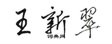 駱恆光王新翠行書個性簽名怎么寫