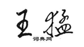 駱恆光王猛行書個性簽名怎么寫