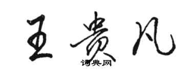 駱恆光王貴凡行書個性簽名怎么寫