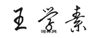 駱恆光王學素行書個性簽名怎么寫