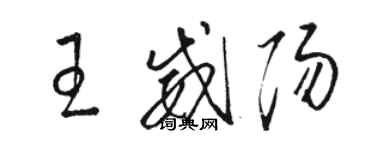 駱恆光王威陽草書個性簽名怎么寫