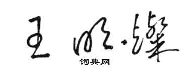 駱恆光王明燦草書個性簽名怎么寫