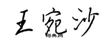 王正良王宛沙行書個性簽名怎么寫