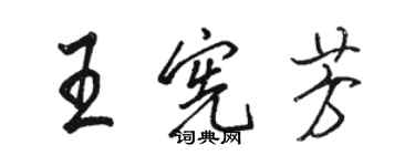 駱恆光王憲芳行書個性簽名怎么寫