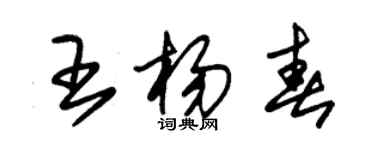朱錫榮王楊春草書個性簽名怎么寫