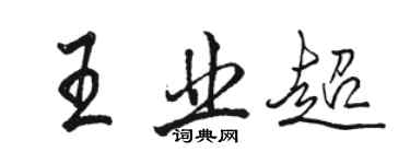 駱恆光王業超行書個性簽名怎么寫