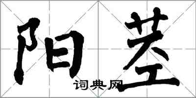 翁闓運陽莖楷書怎么寫