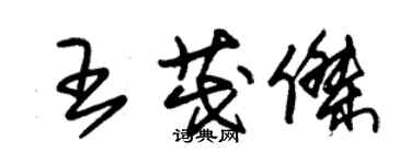 朱錫榮王茂傑草書個性簽名怎么寫