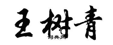 胡問遂王樹青行書個性簽名怎么寫