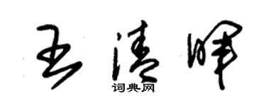 朱錫榮王清暉草書個性簽名怎么寫