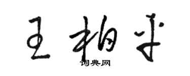 駱恆光王柏平草書個性簽名怎么寫