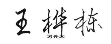駱恆光王樺棟行書個性簽名怎么寫