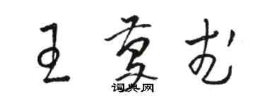 駱恆光王慶武草書個性簽名怎么寫