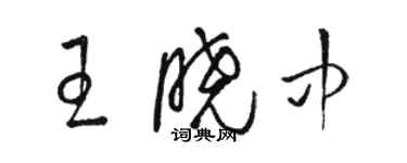 駱恆光王曉中草書個性簽名怎么寫