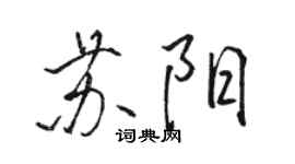 駱恆光蘇陽行書個性簽名怎么寫