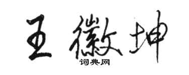 駱恆光王徽坤行書個性簽名怎么寫