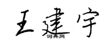 王正良王建宇行書個性簽名怎么寫