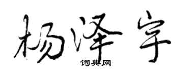 曾慶福楊澤宇行書個性簽名怎么寫