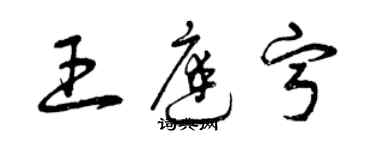 曾慶福王庭寧草書個性簽名怎么寫