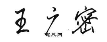 駱恆光王廣密行書個性簽名怎么寫