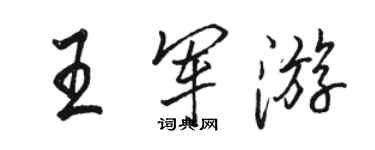 駱恆光王軍遊行書個性簽名怎么寫