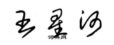 朱錫榮王星河草書個性簽名怎么寫