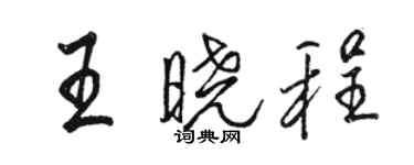 駱恆光王曉程行書個性簽名怎么寫