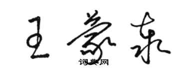 駱恆光王蒙泰草書個性簽名怎么寫