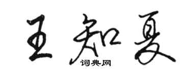 駱恆光王知夏行書個性簽名怎么寫