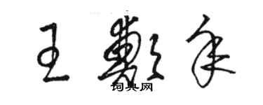 駱恆光王鄭年草書個性簽名怎么寫