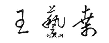 駱恆光王藝桑草書個性簽名怎么寫