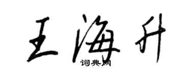 王正良王海升行書個性簽名怎么寫