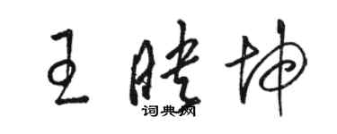 駱恆光王映坤草書個性簽名怎么寫