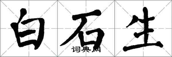 翁闓運白石生楷書怎么寫