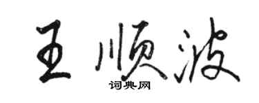 駱恆光王順波行書個性簽名怎么寫