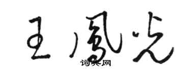 駱恆光王鳳光草書個性簽名怎么寫