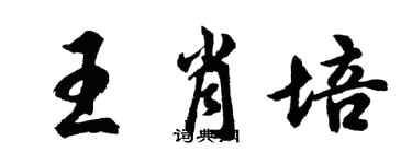 胡問遂王肖培行書個性簽名怎么寫