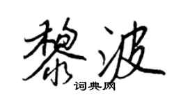 王正良黎波行書個性簽名怎么寫