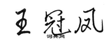 駱恆光王冠鳳行書個性簽名怎么寫